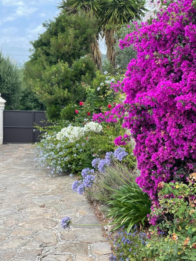 Les Trefles Apartment Hyeres Exterior photo
